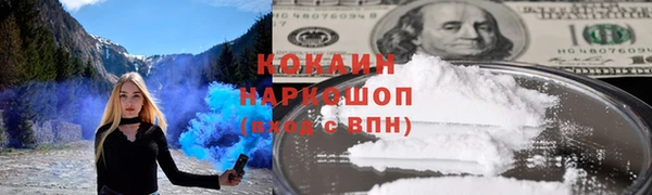 сатива Нягань