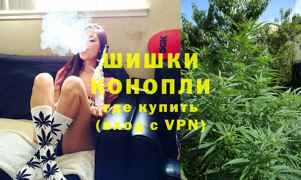 сатива Нягань
