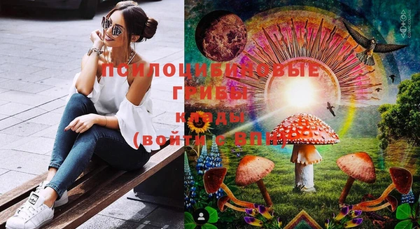 мяу мяу мука Алзамай