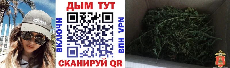 Марихуана THC 21%  цены   Новоаннинский 